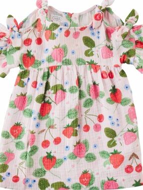 EUC Muskie Berry Patch Dress